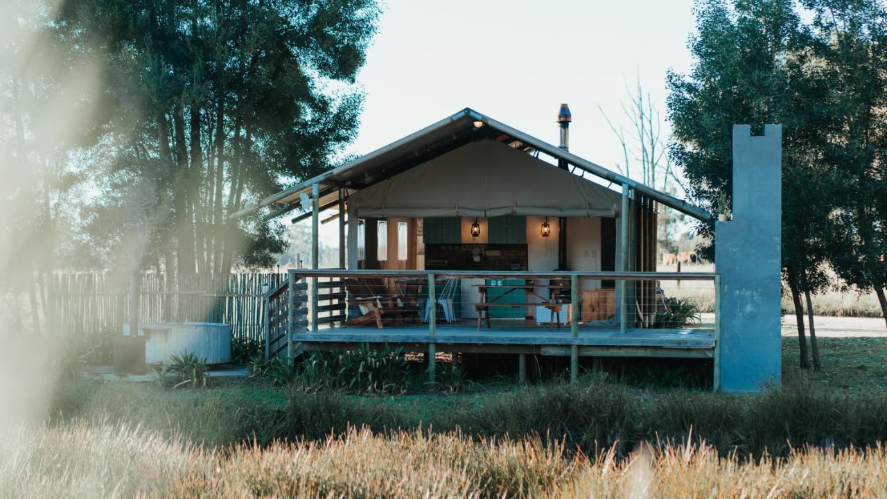 Africamps At Oakhurst Wildernis Exterior foto